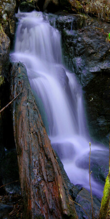 The place i love
