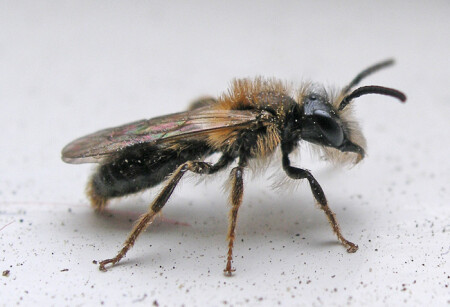 Монстры рядом