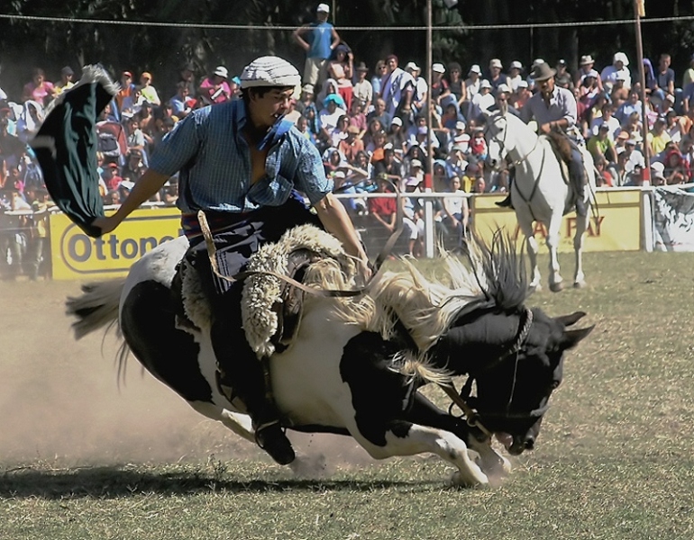 CHICO-GAUCHO