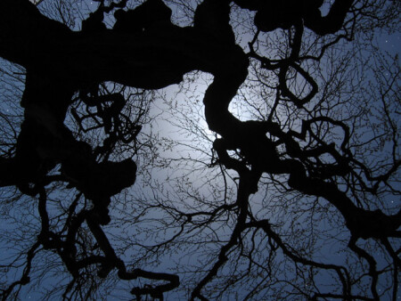 Луна чертит тушью