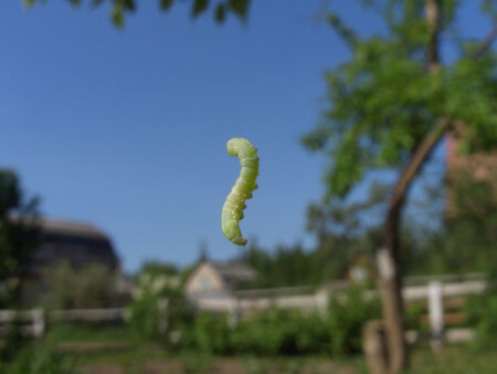 Вопрос жизни...