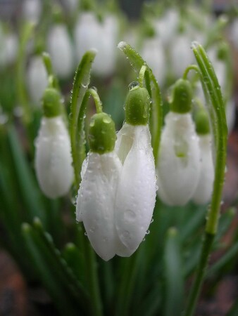 ЛЮБОВЬ (Он и Она)