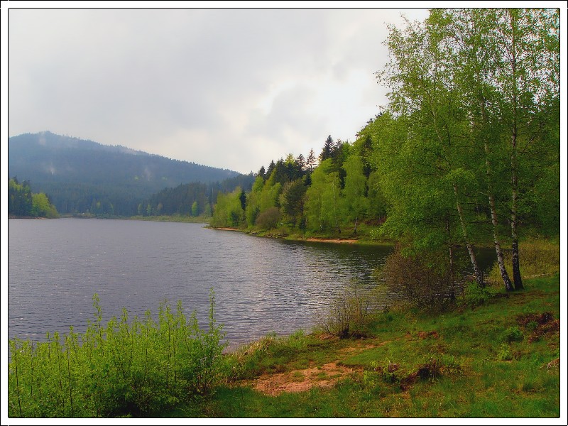 ЛЕСНОЕ ОЗЕРО