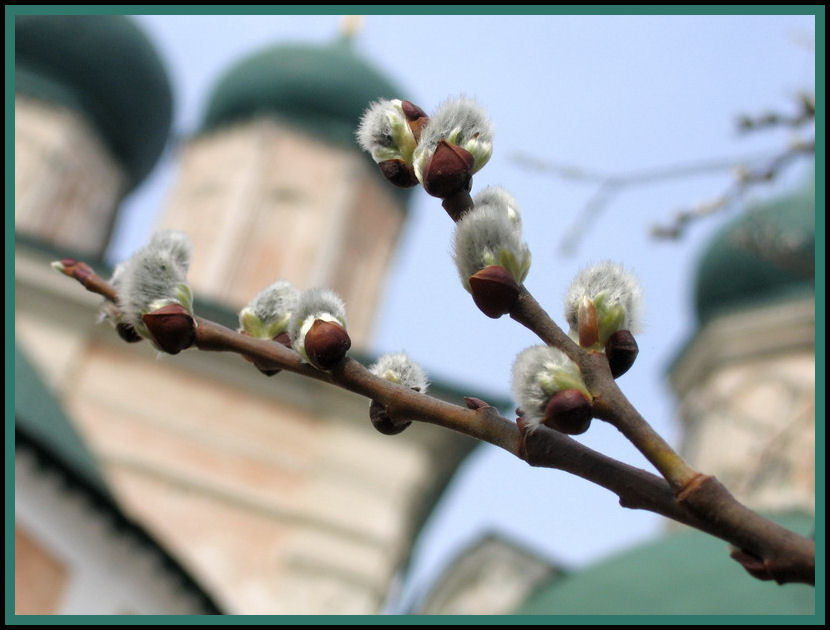 Весенний портрет