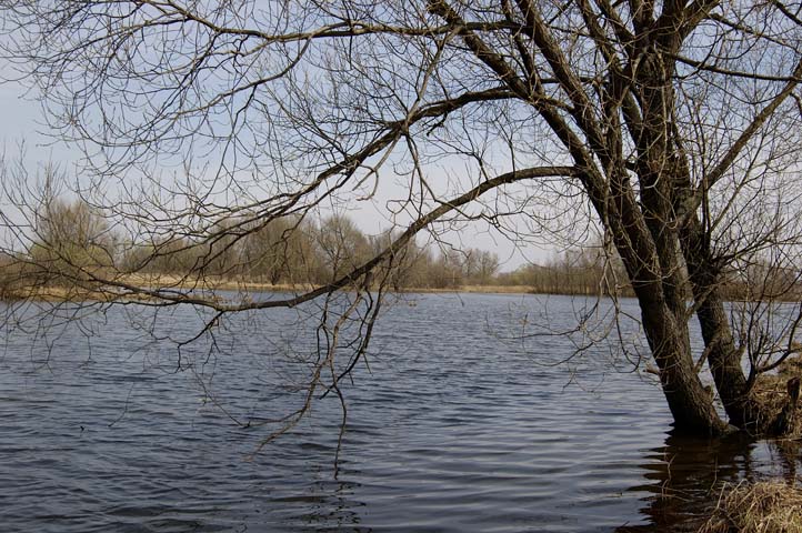 Половодье