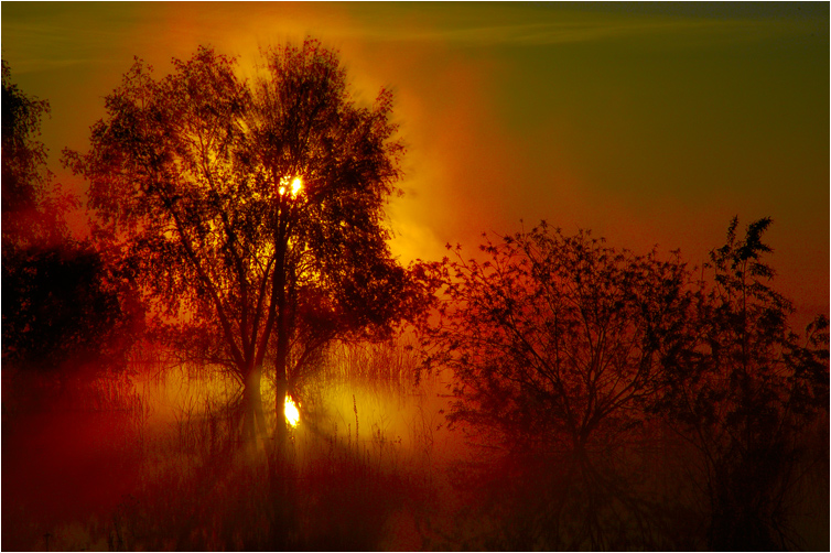 The Magic of the dawning...