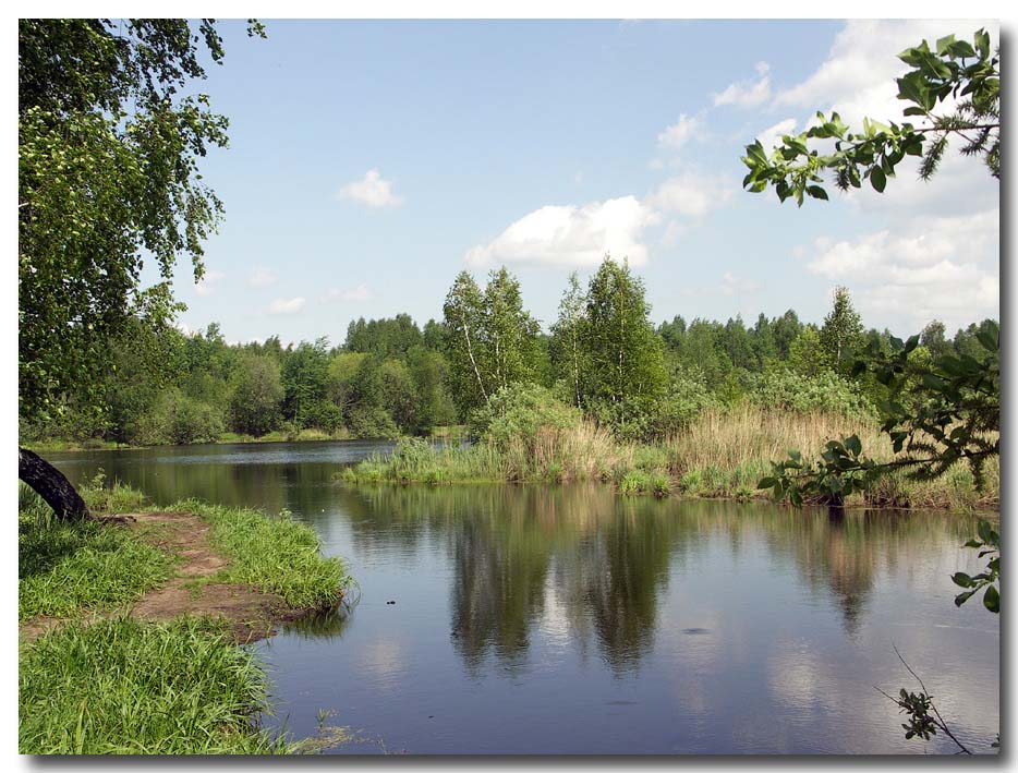 Лесное озеро