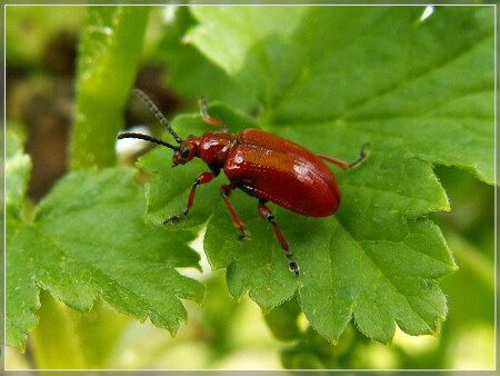 Весна пришла!..