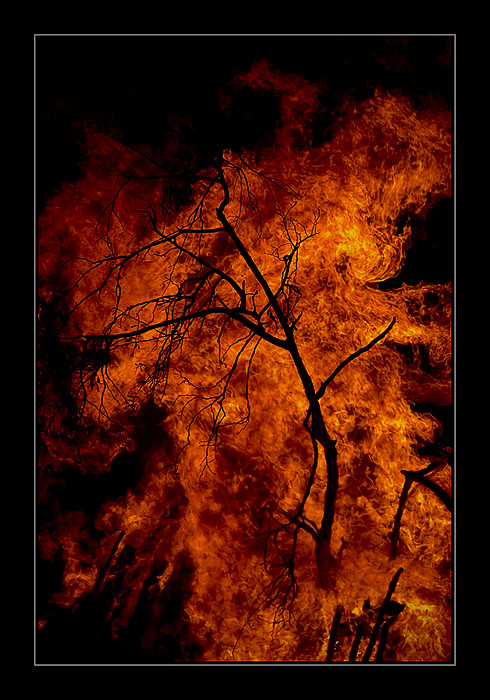 Fire.....................