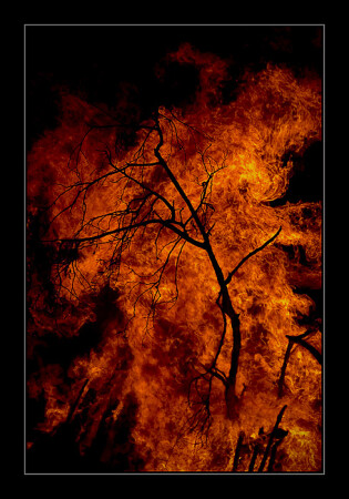 Fire.....................