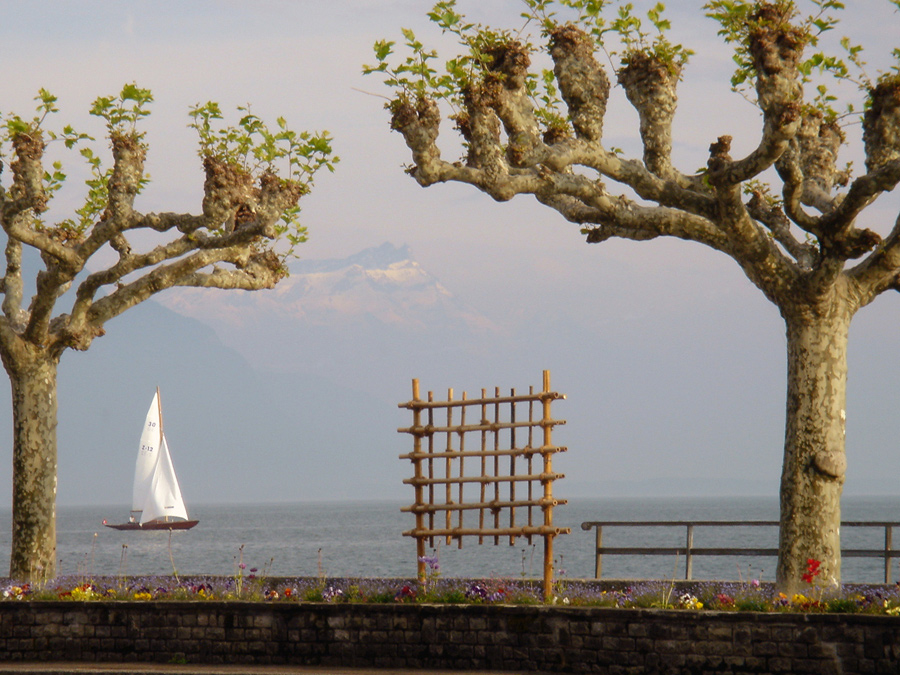 Vevey #1