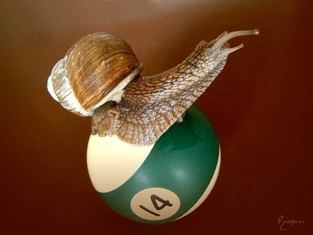 Девочка на шаре