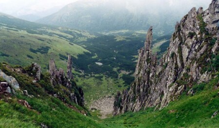 г.Ребра