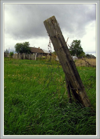 Среди поля