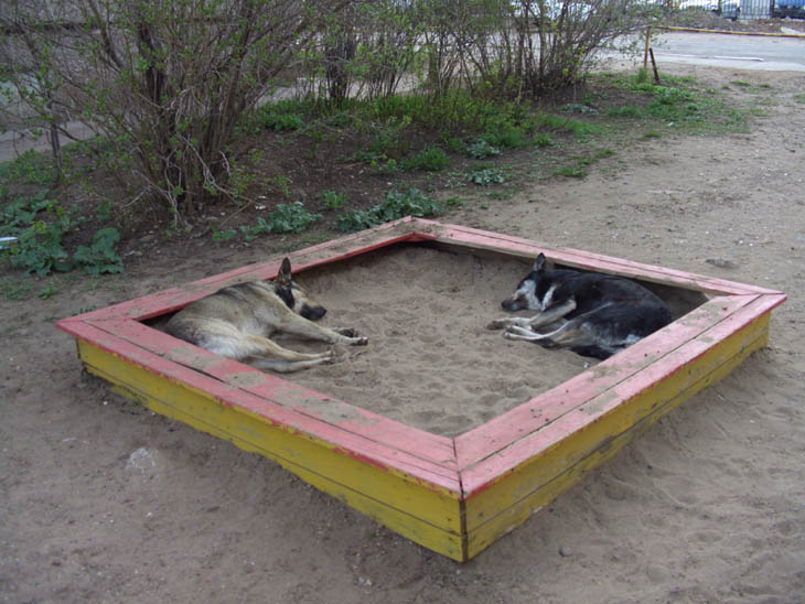 Тихий час