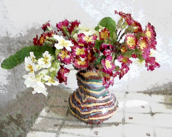 Примулы