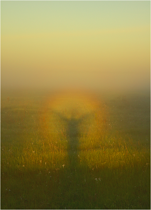Aura...