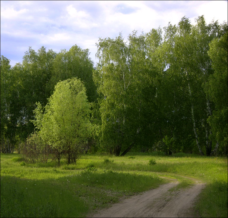 Просёлок
