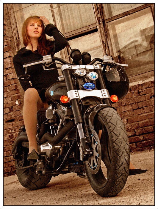 Hell Cat