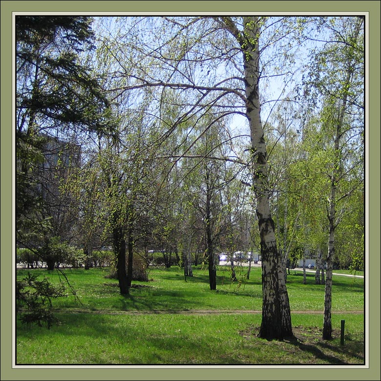 Весенние мотивы - Весенний свет (фрагмент)