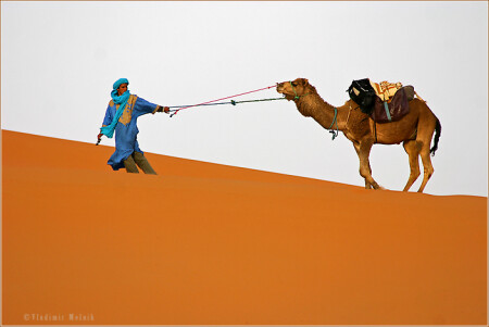 Тяга Сахары...