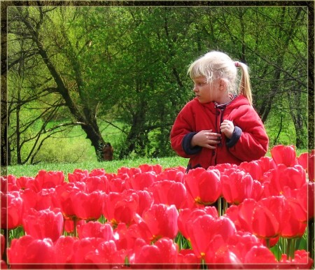Аленький цветочек