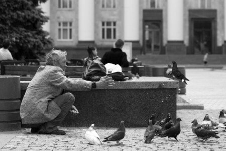 человек и его птицы