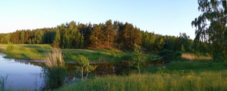 Лисья гора