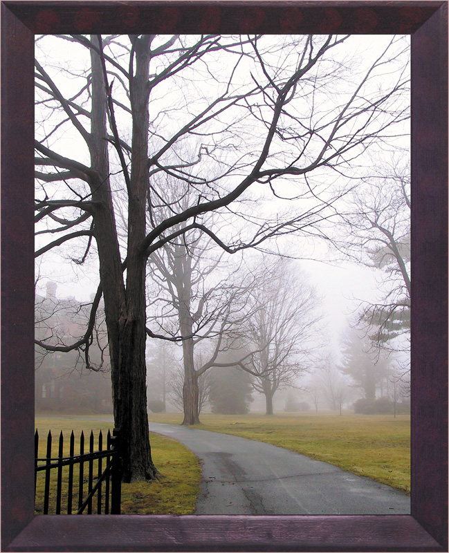 Museum, The Foggy Day