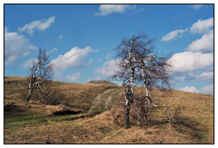 Дорога к облакам