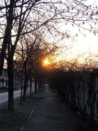 Way to Sunset