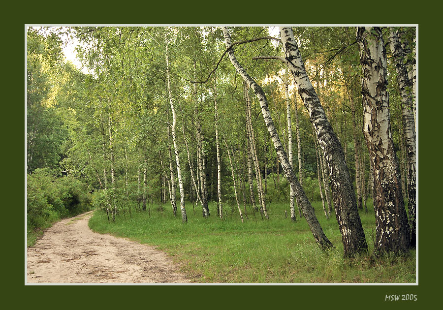 Среднерусская дорога