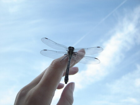 Небо… Оно твое.