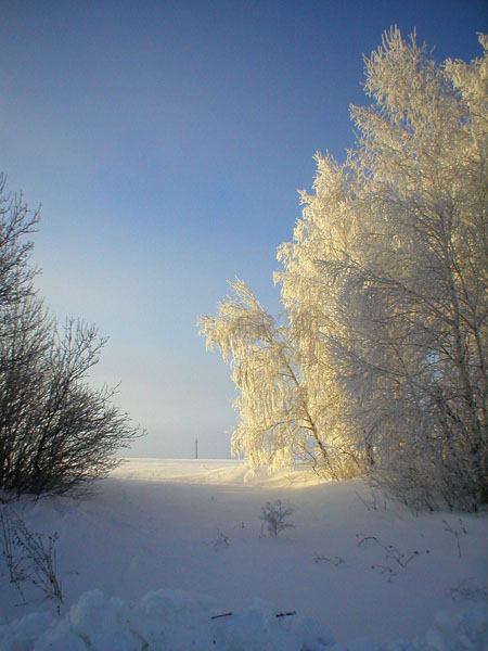 Белая Сказка