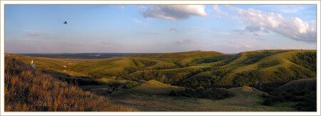 &amp;quot;***&amp;quot;