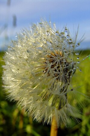 Утро завтрашнего дня