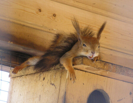 Разморило...