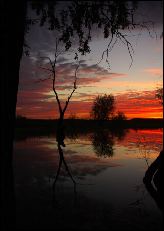 the morning in the dreams...