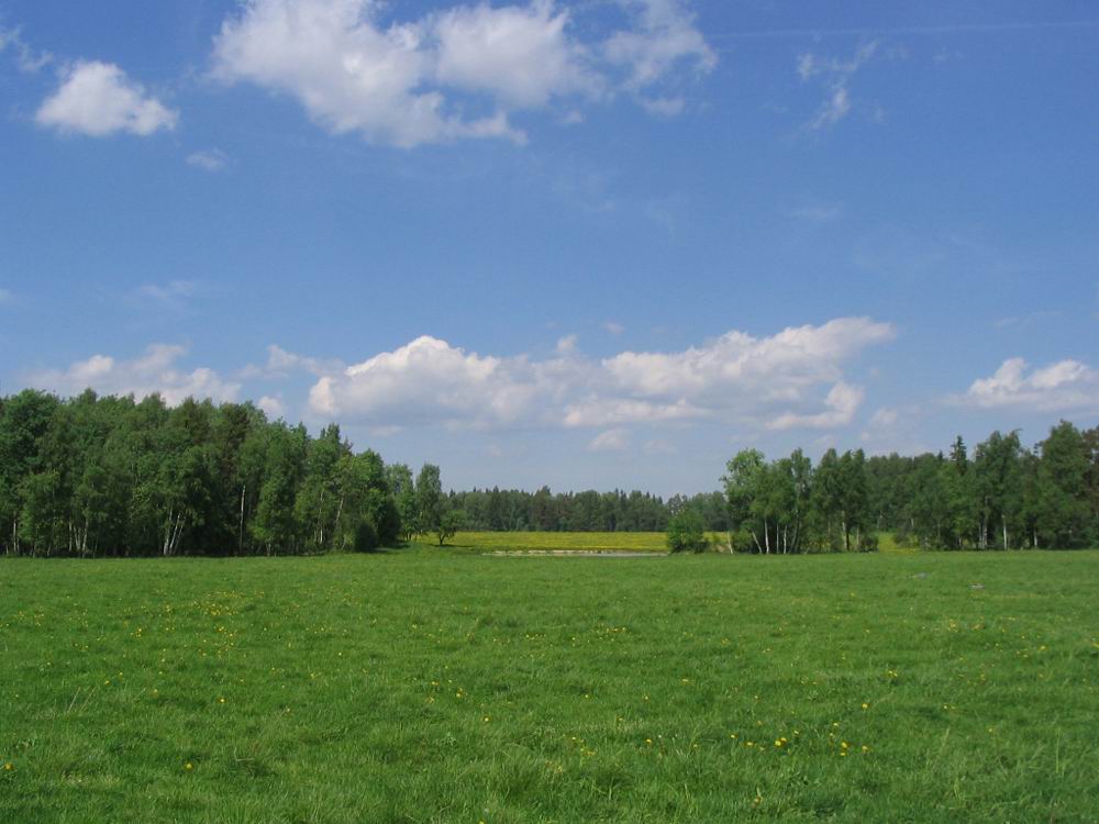 Поле