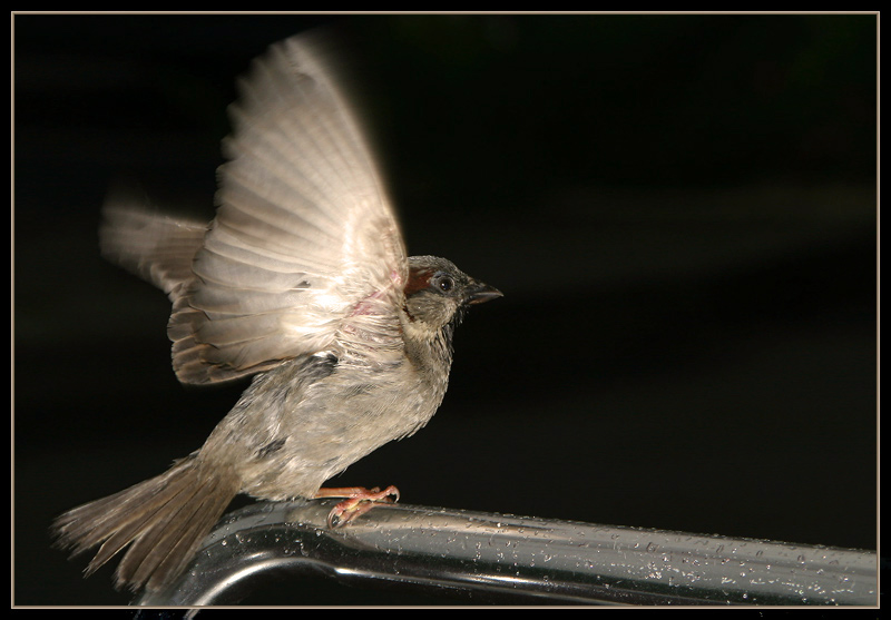 Taking off