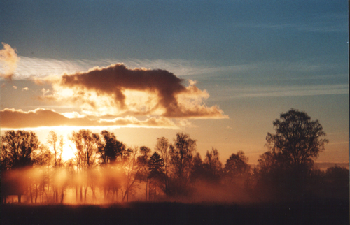 smoking nature