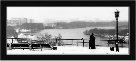 Любовь и голубь