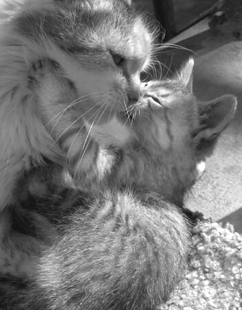 Настоящая любовь