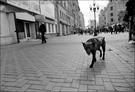 зловещая ф-я