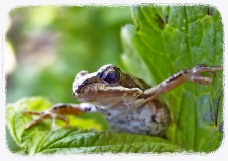 На стрёме....