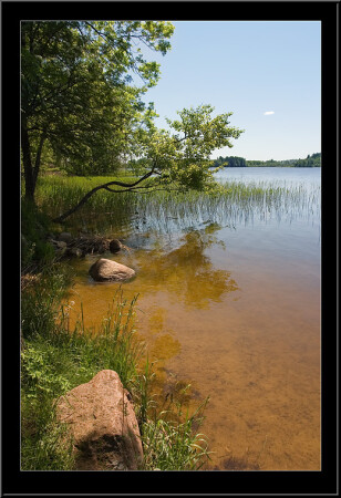 У озера
