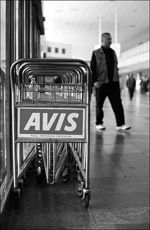 AVIS