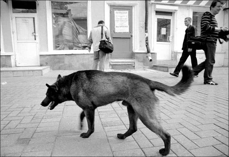 про фотографов фотография