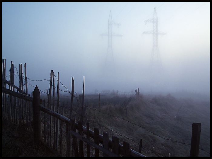 Утро в тумане