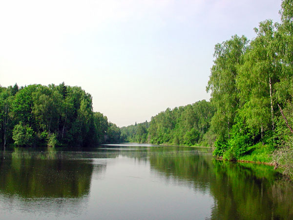 Тишина